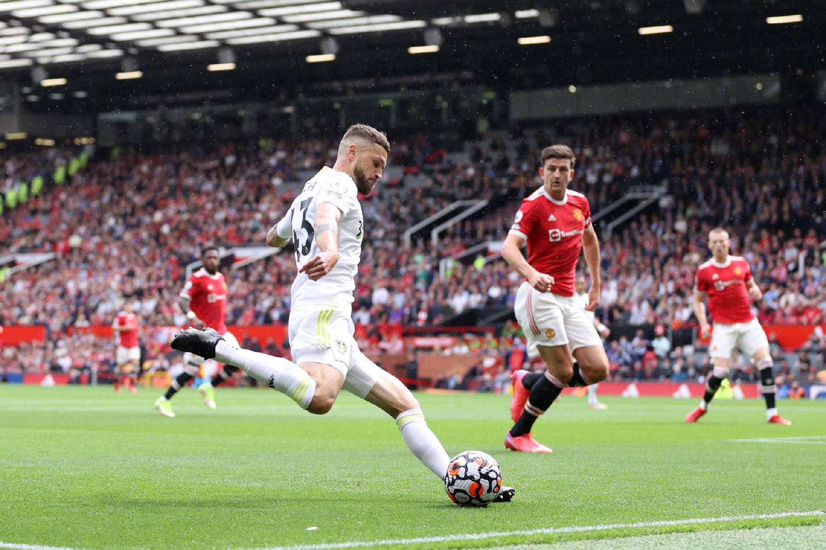 僅體現在她 僅體現在她